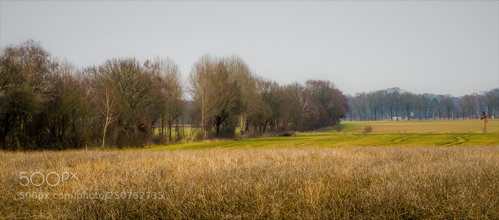 Nikon D5100 sample photo. Early springtime photography