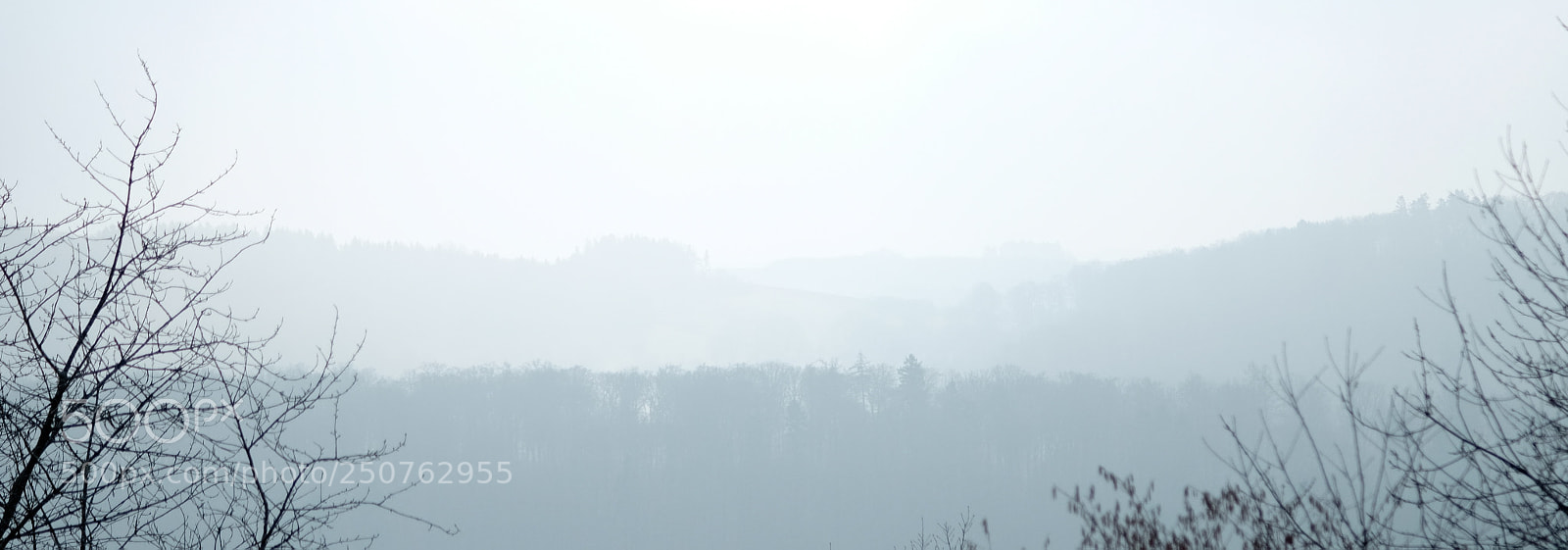 Fujifilm X-T1 sample photo. A forest, a valley photography