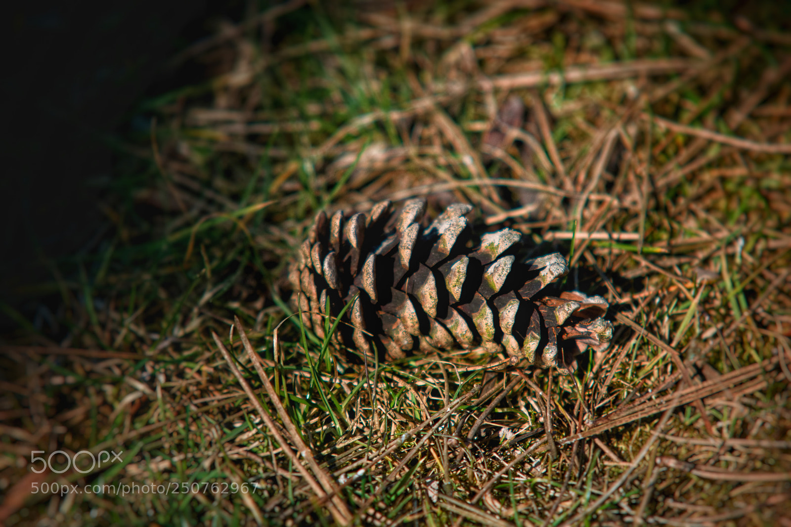 Nikon D3300 sample photo. Grüße vom herbst photography