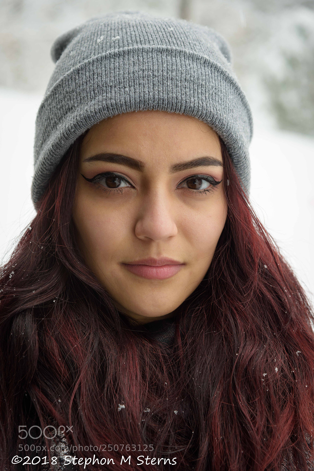 Nikon D810 sample photo. Spring snow 2 photography