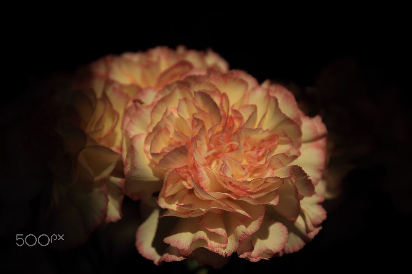 Canon EOS 80D sample photo. Spring photography