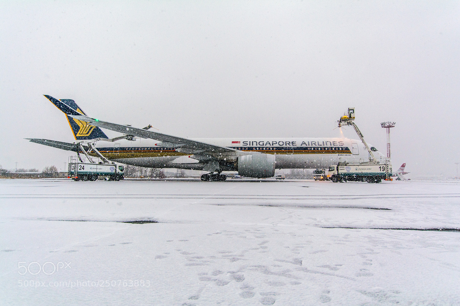 Nikon D5200 sample photo. Airbus a350 photography