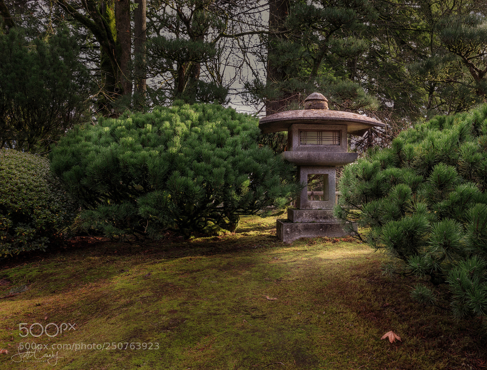 Canon EOS 5D Mark IV sample photo. Portland japanese garden photography