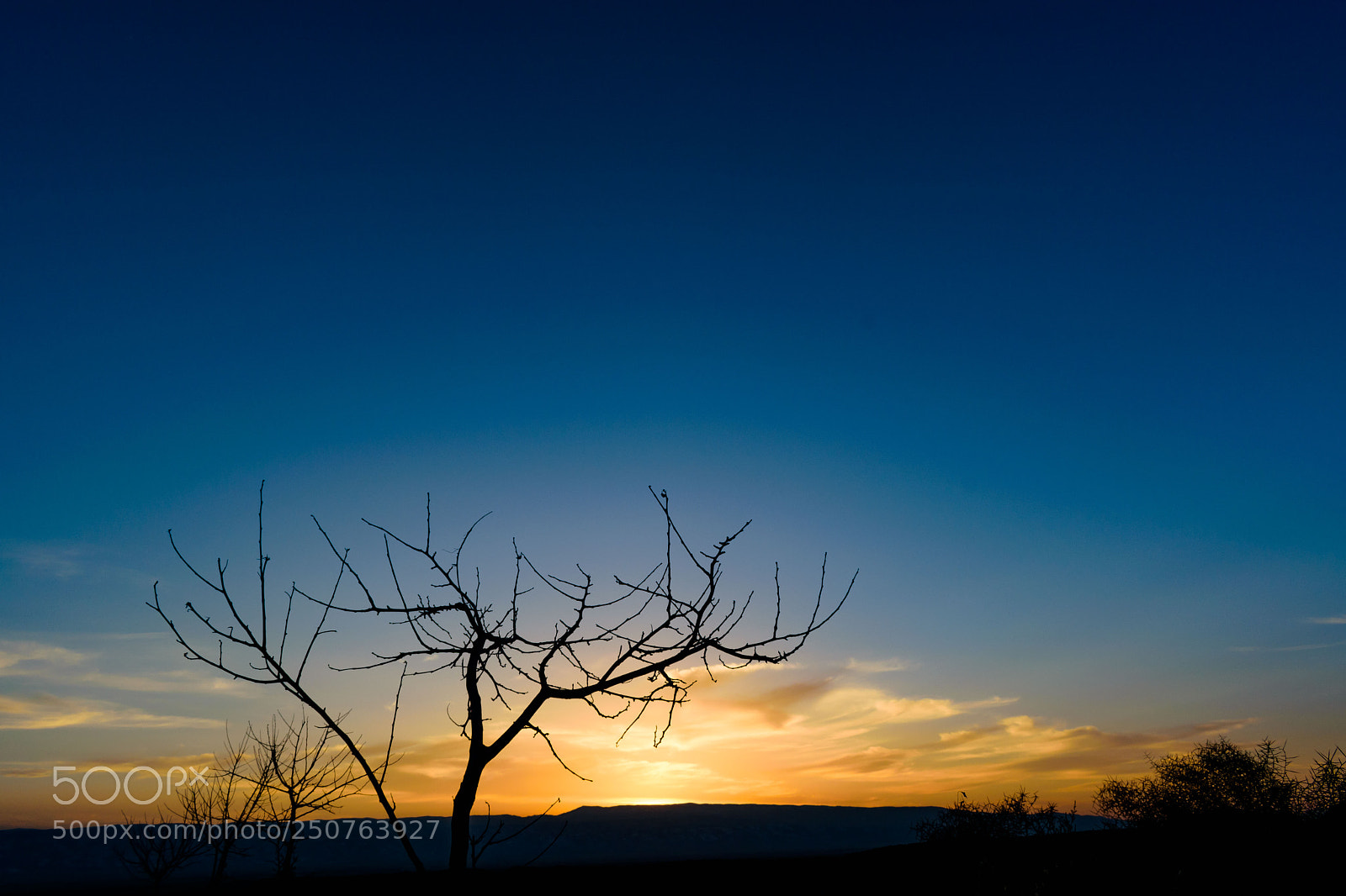 Nikon D3300 sample photo. Sunset in desert... photography
