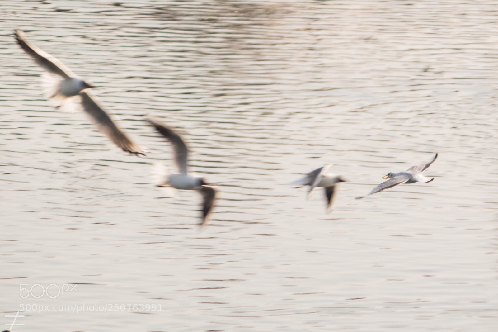 Fujifilm X-T10 sample photo. Untitled photography