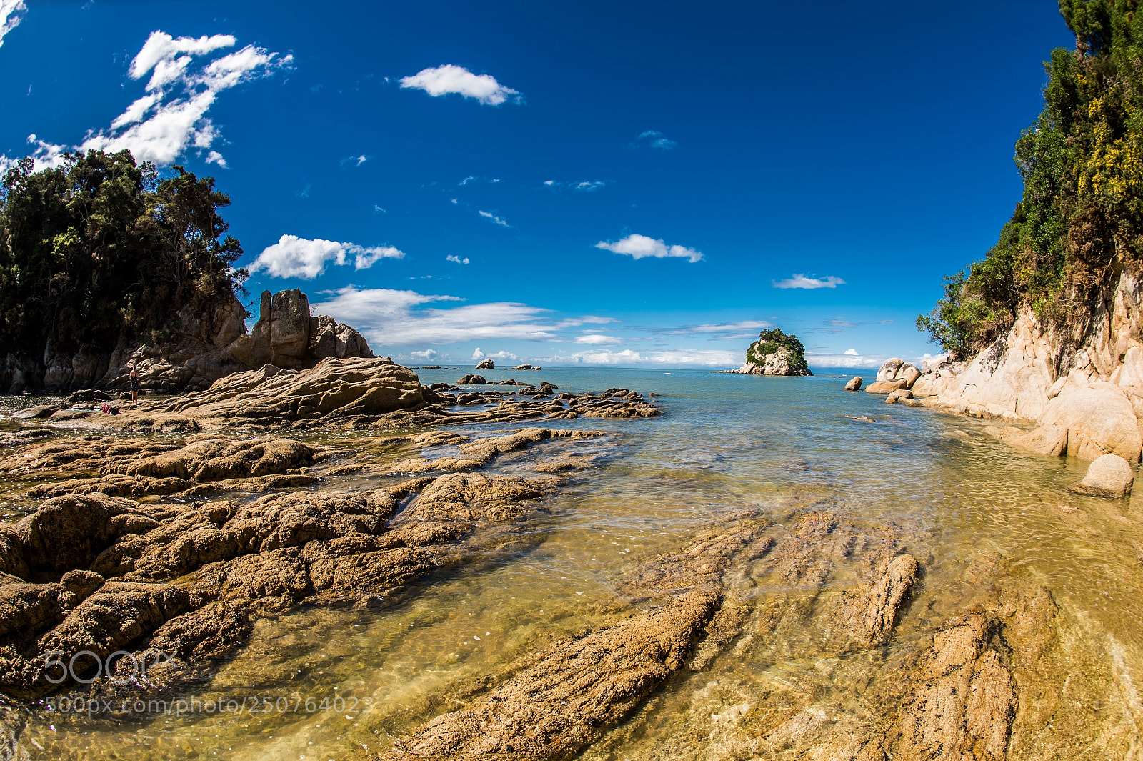 Nikon D4 sample photo. Kaiteriteri beach : new zealand photography
