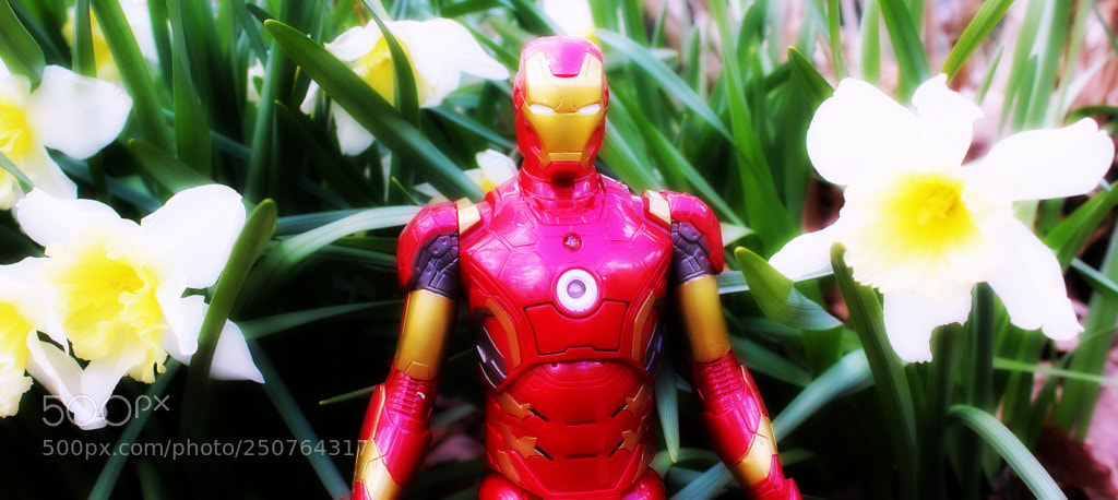 Canon EOS 1200D (EOS Rebel T5 / EOS Kiss X70 / EOS Hi) sample photo. Ironman photography