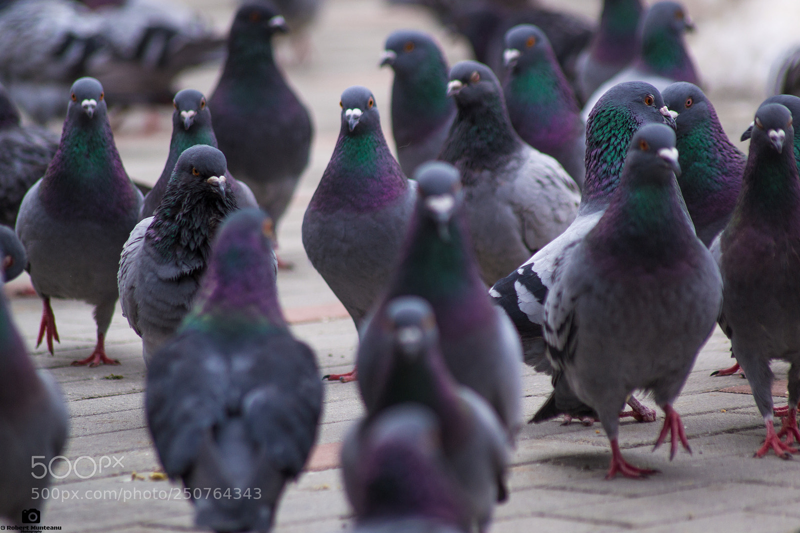 Nikon D3100 sample photo. Untitled photography