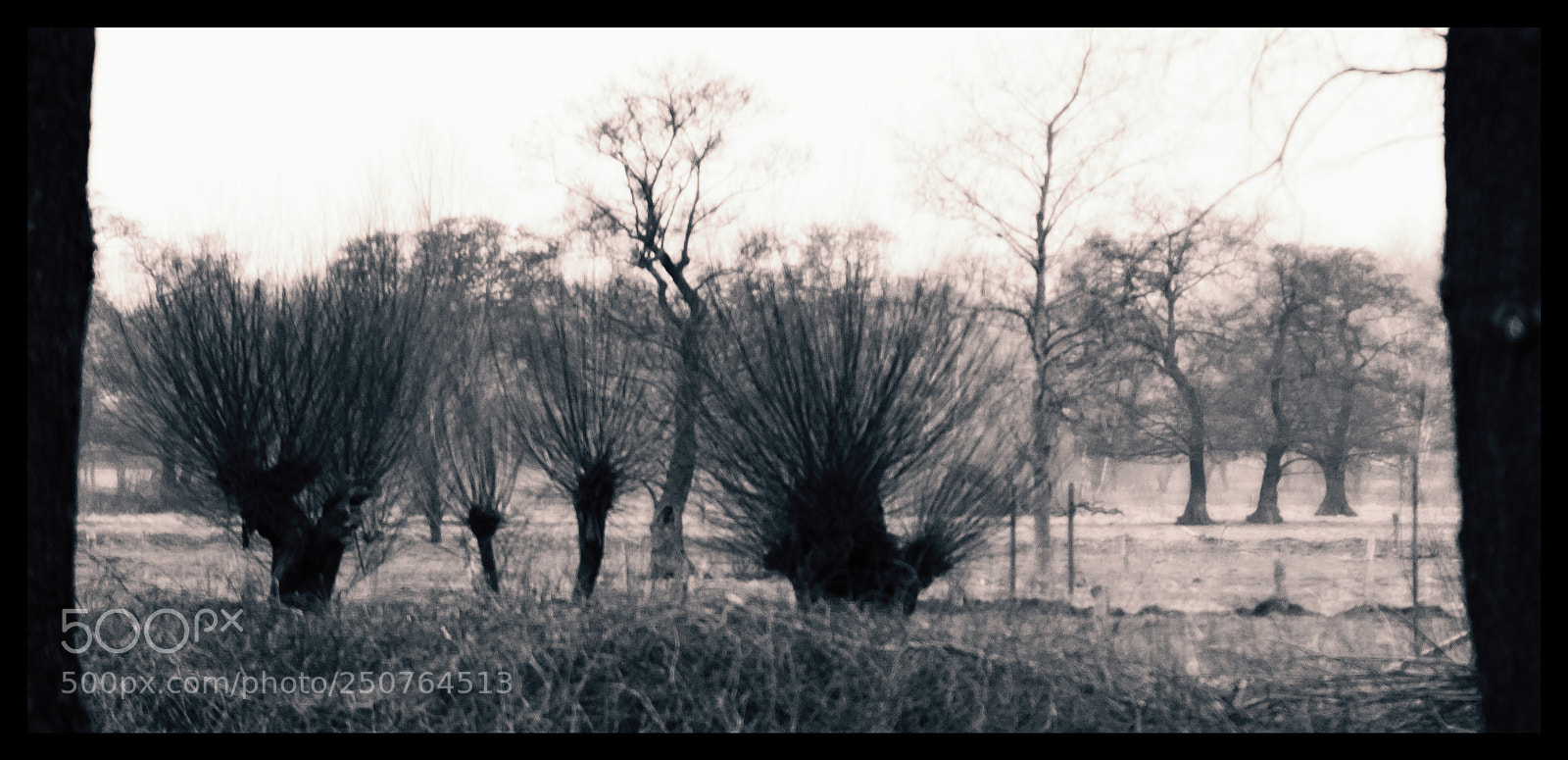Nikon D5100 sample photo. Out of my window photography