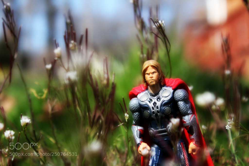 Canon EOS 1200D (EOS Rebel T5 / EOS Kiss X70 / EOS Hi) sample photo. Thor photography