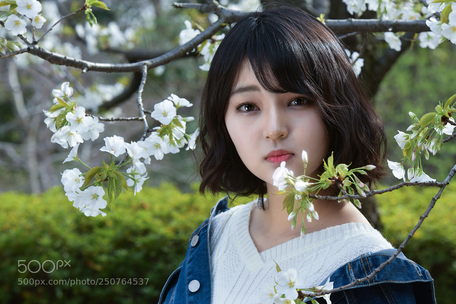 Nikon D850 sample photo. Kiri 2 photography