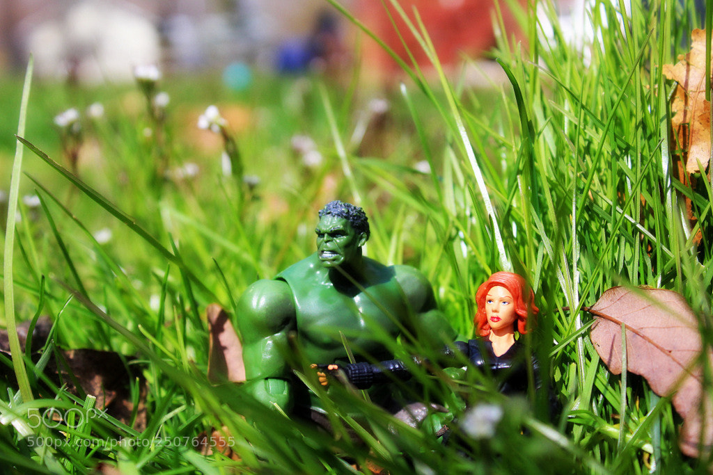 Canon EOS 1200D (EOS Rebel T5 / EOS Kiss X70 / EOS Hi) sample photo. Hulk and black widow photography