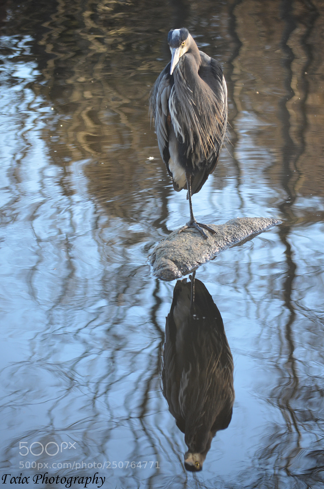 Nikon D5100 sample photo. Untitled photography