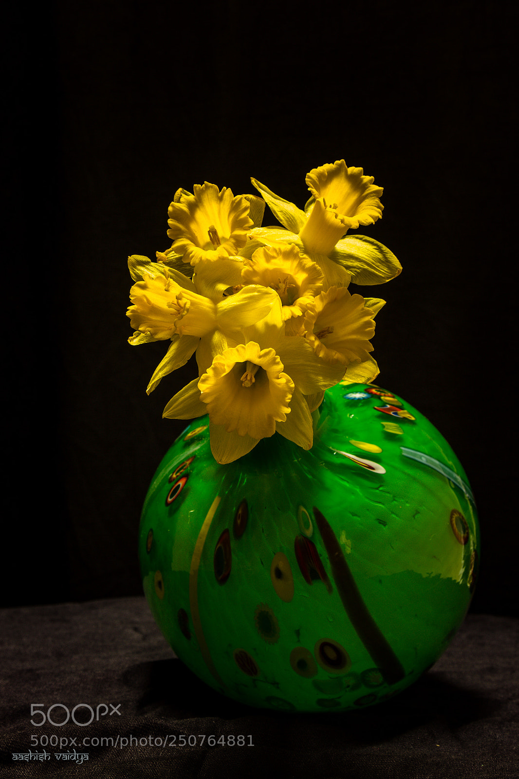 Canon EOS 600D (Rebel EOS T3i / EOS Kiss X5) sample photo. Daffodils in a green photography