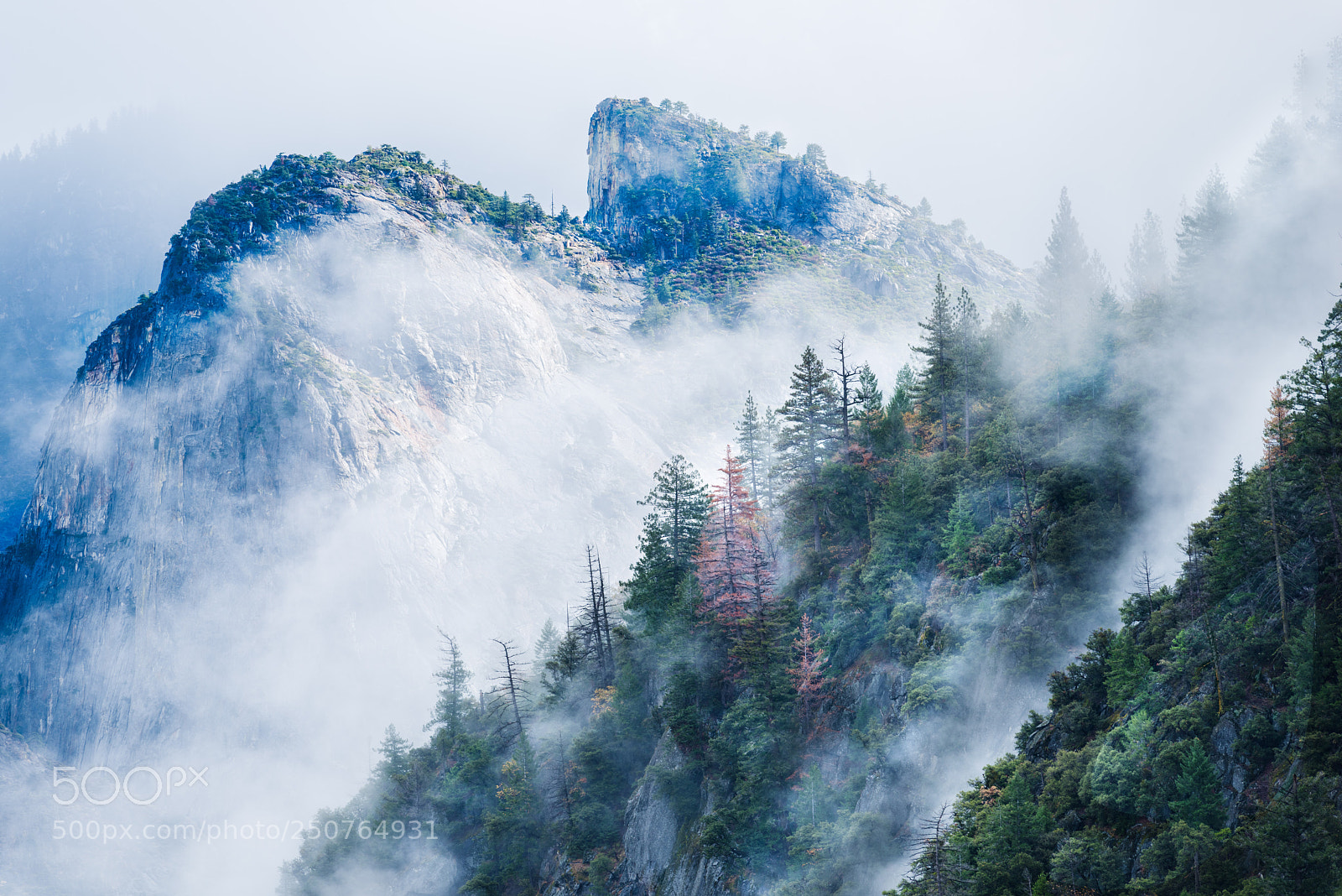 Nikon D810 sample photo. Yosemite photography
