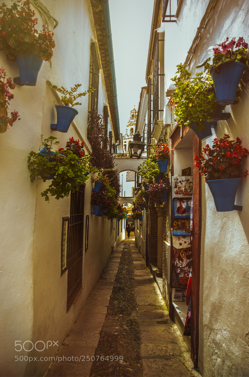 Canon EOS 5D Mark IV sample photo. Callej n de las photography