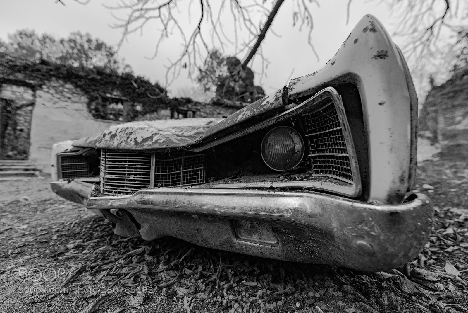 Nikon D810 sample photo. Retro photography