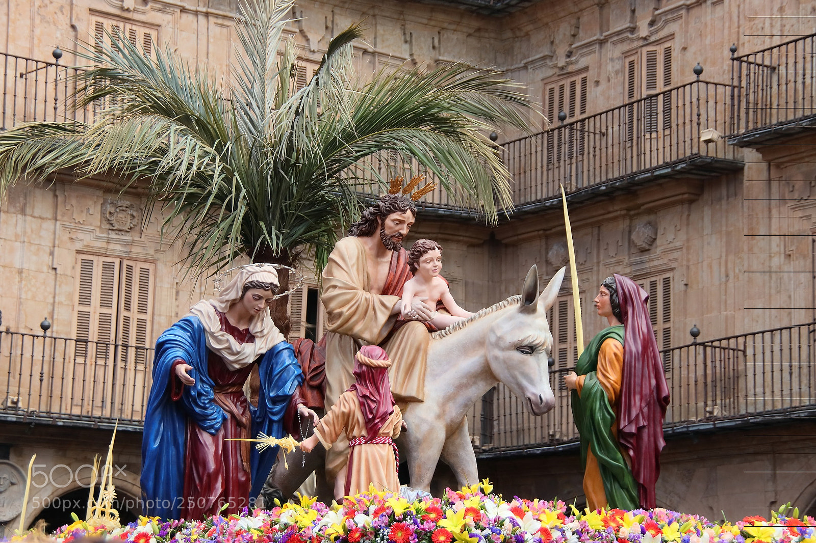 Canon EOS 77D (EOS 9000D / EOS 770D) sample photo. Procesion domingo de ramos photography