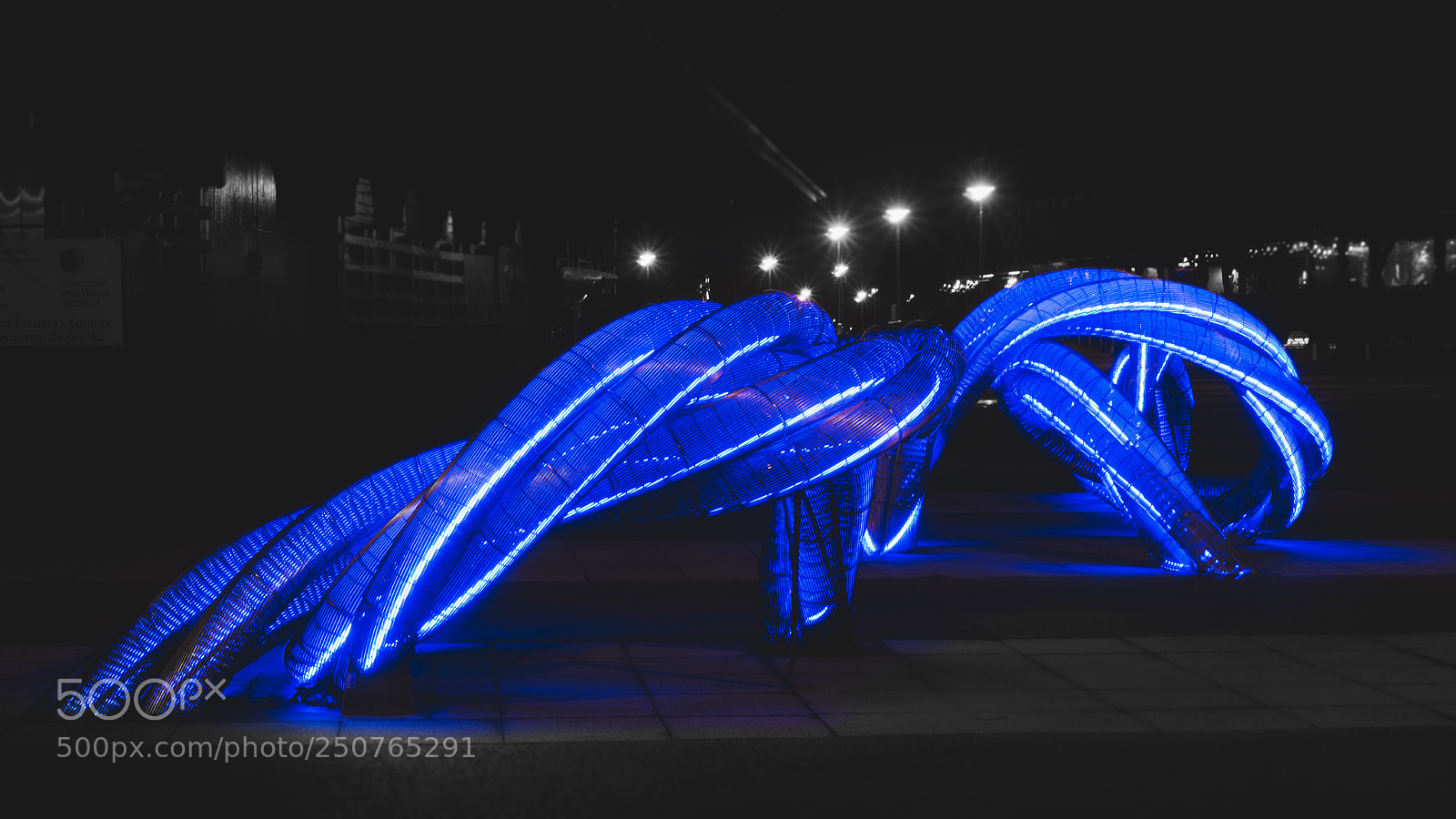 Nikon D600 sample photo. Electric blues photography