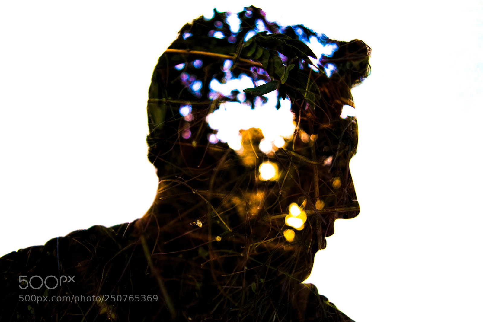 Pentax K-50 sample photo. Self portrait photography