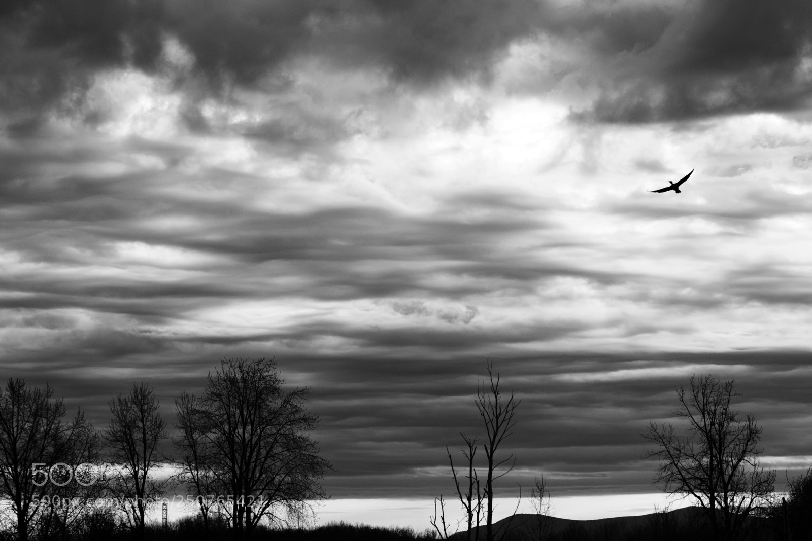 Nikon D7200 sample photo. Cloudy days photography