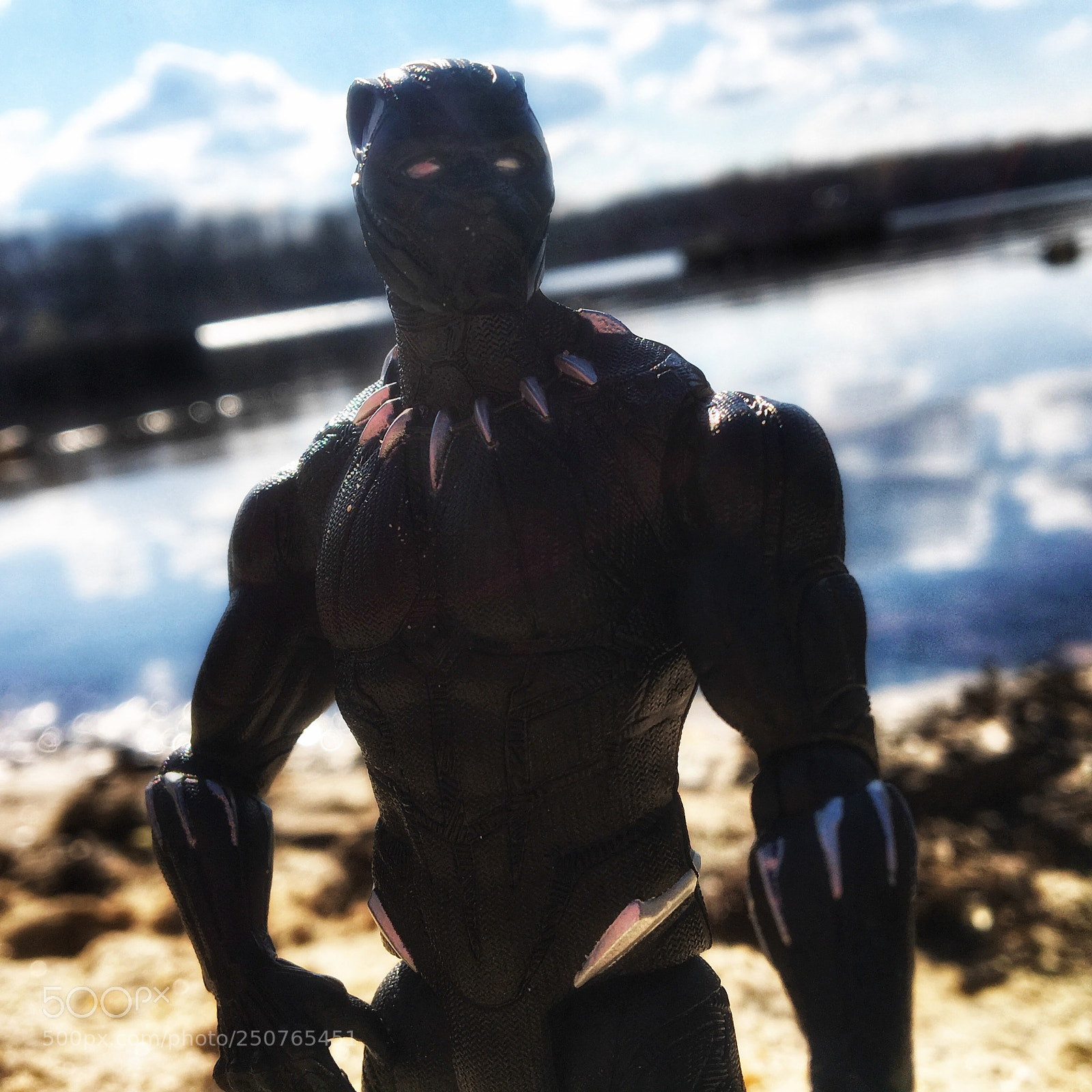 Apple iPhone 6s sample photo. Black panther photography