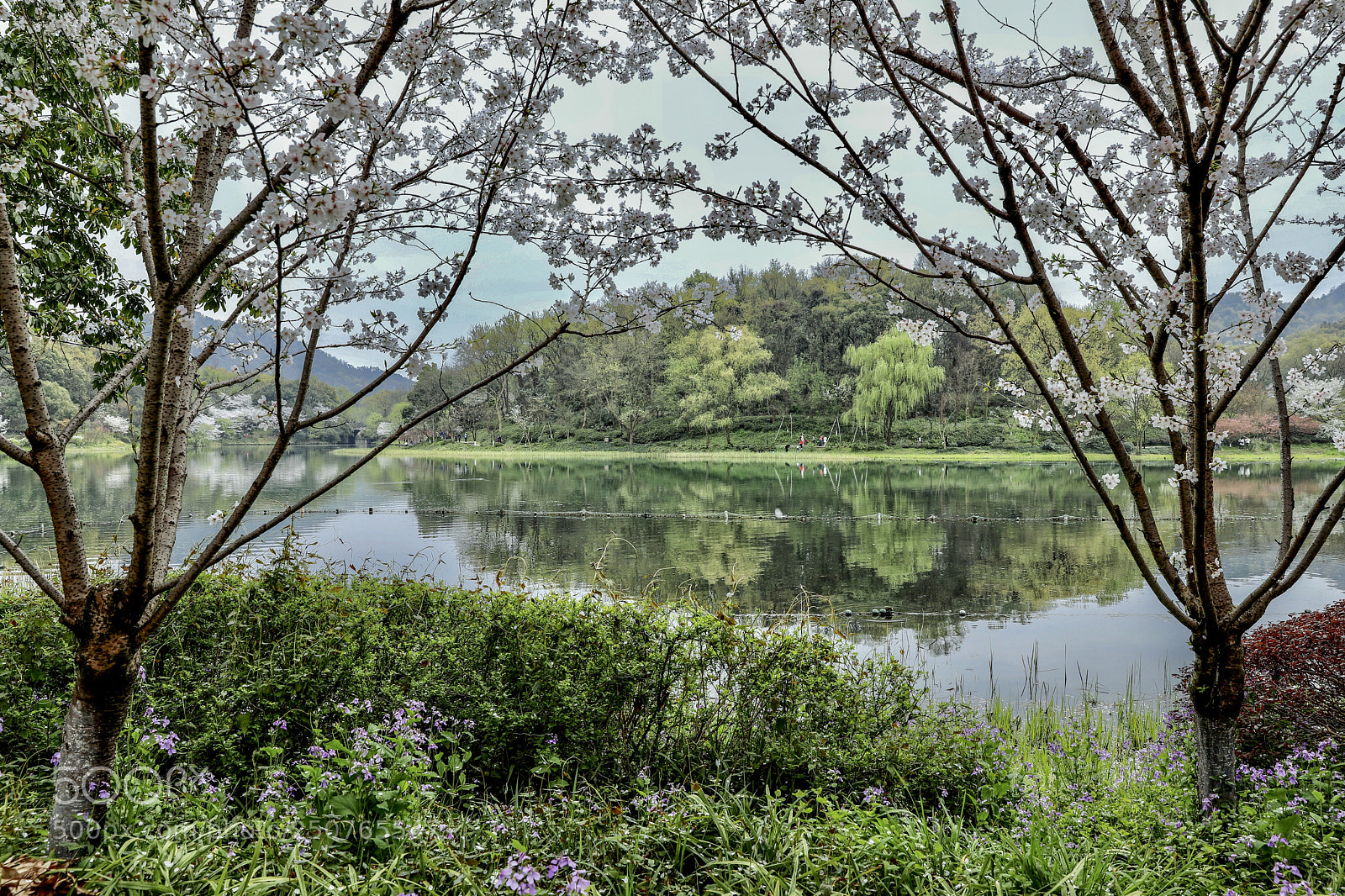 Canon EOS 5D Mark IV sample photo. 杭州 photography