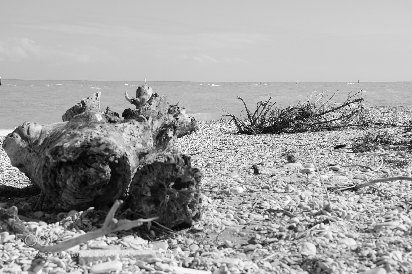 Nikon D5600 sample photo. Untitled photography