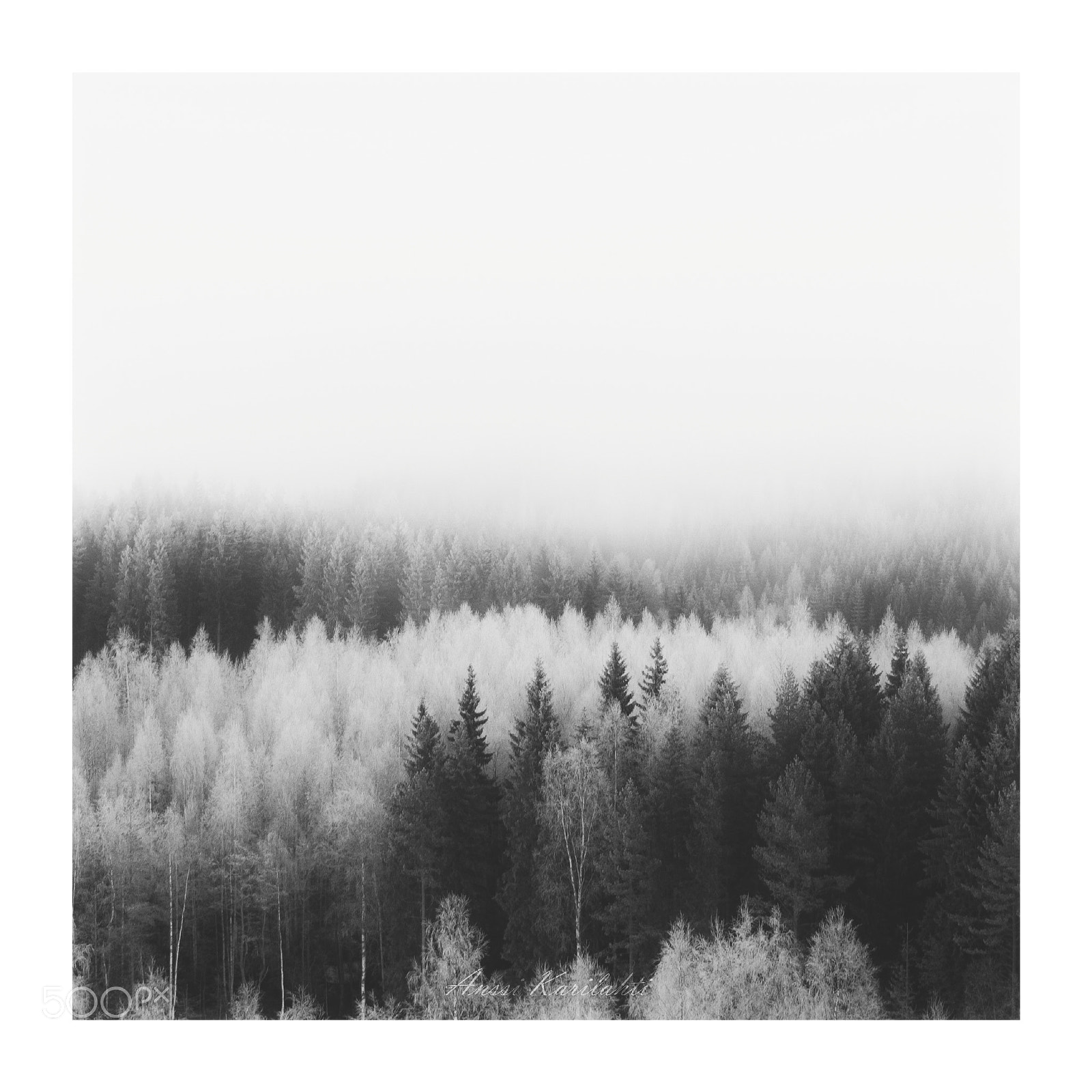 Nikon D7000 sample photo. Mist forest photography