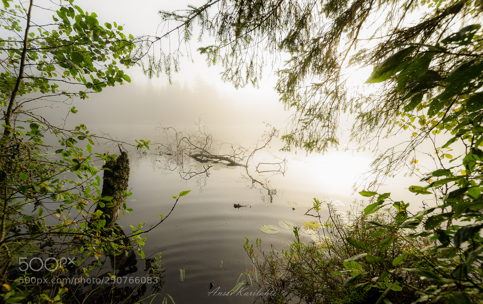 Nikon D7000 sample photo. Morning light photography
