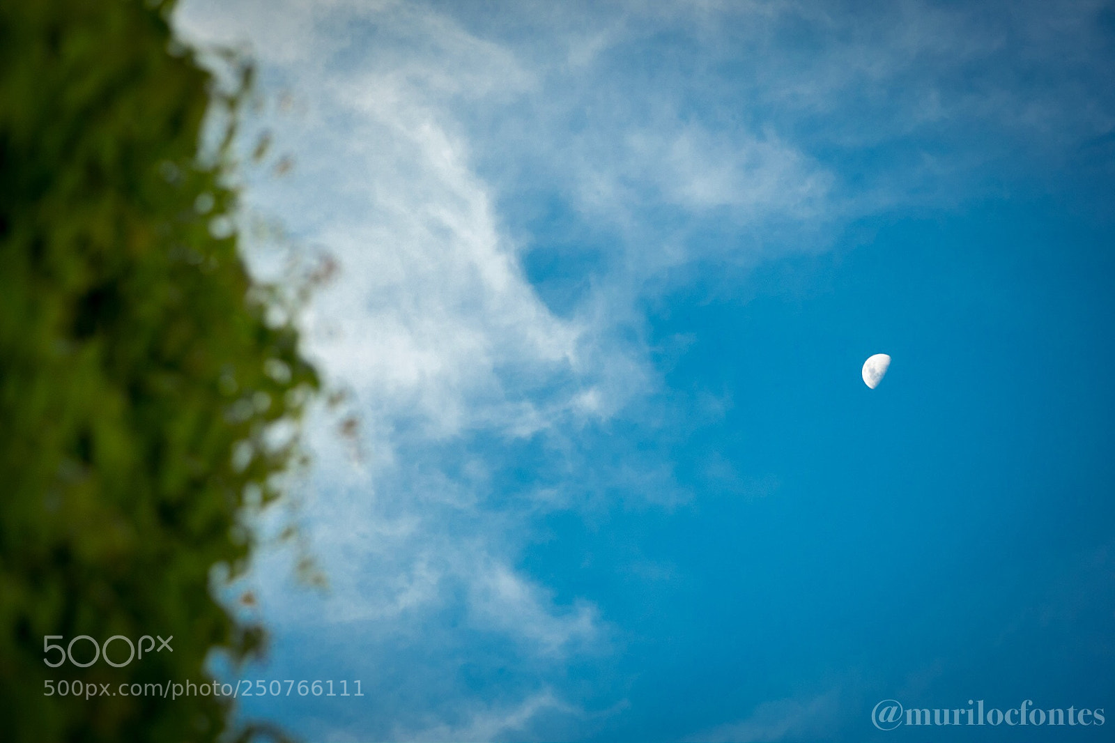 Nikon D3100 sample photo. Untitled photography