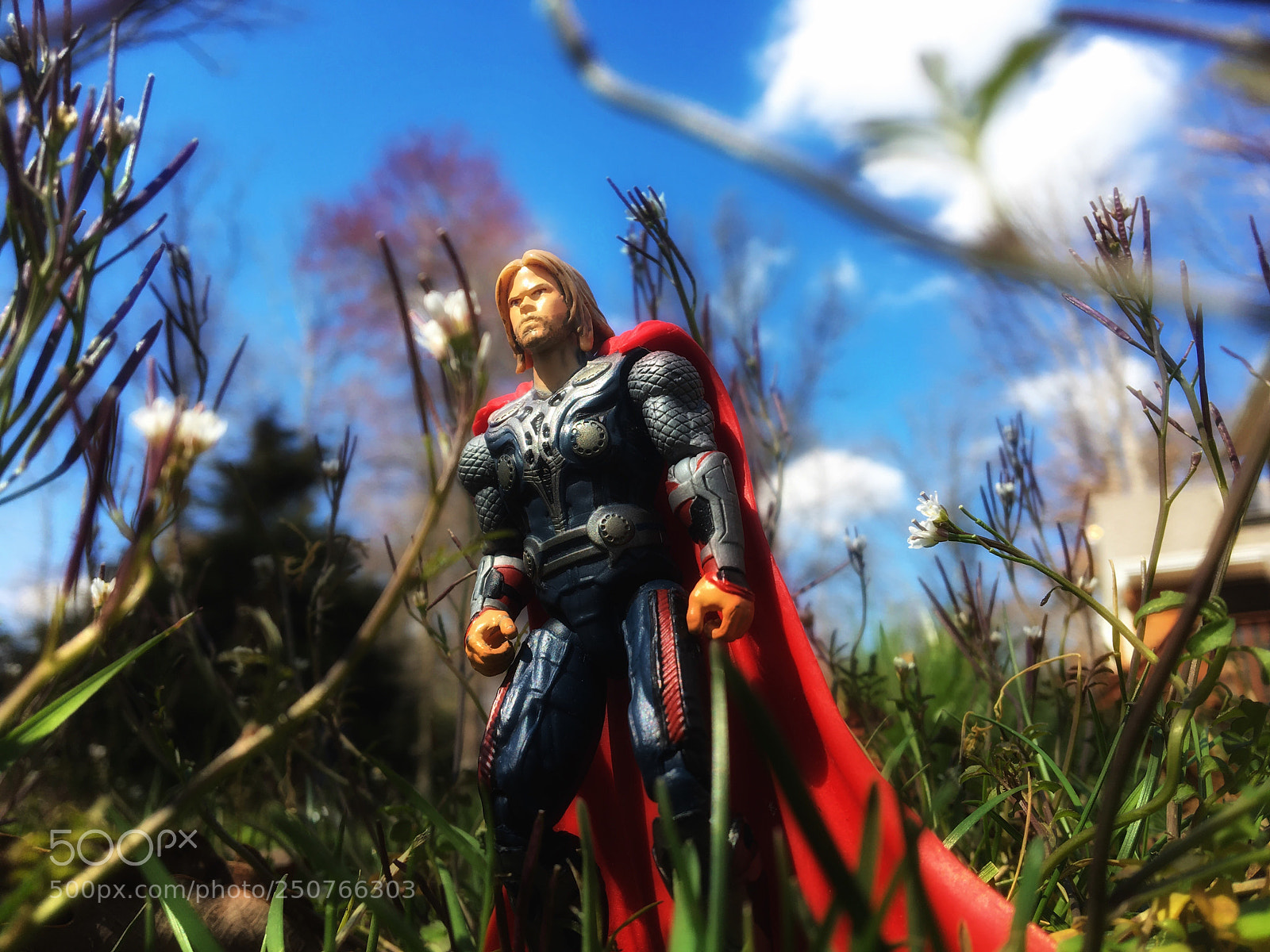 Apple iPhone 6s sample photo. Thor photography