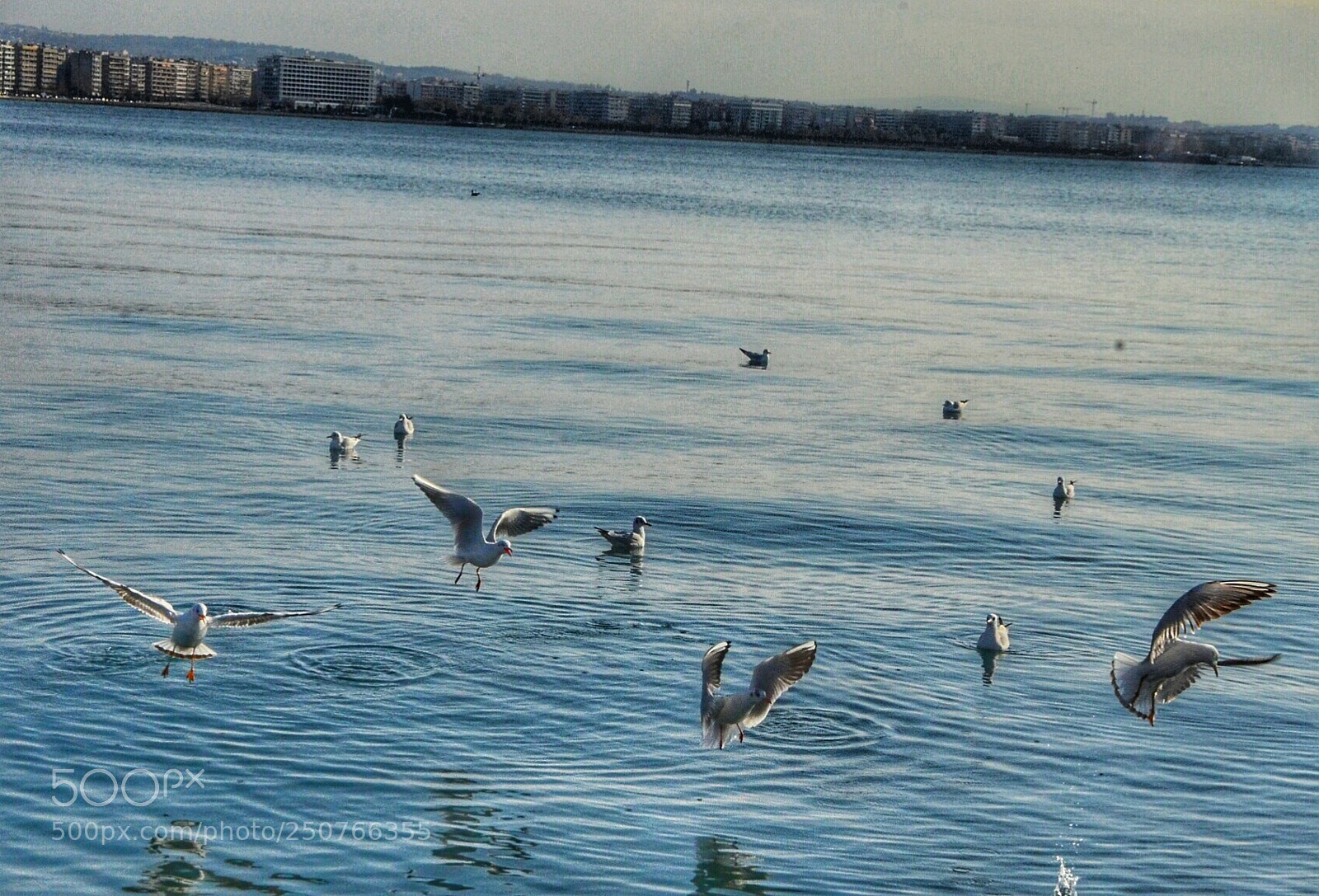 Nikon D7000 sample photo. Untitled photography