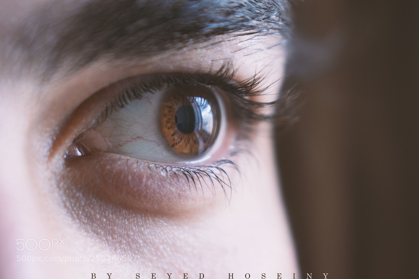 Nikon D5300 sample photo. Untitled photography