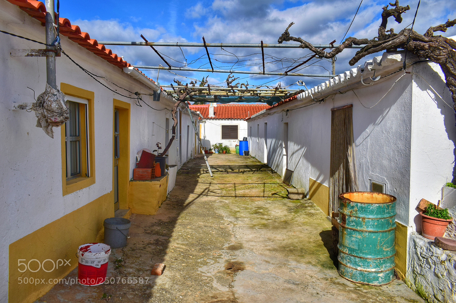 Nikon D3300 sample photo. Untitled photography