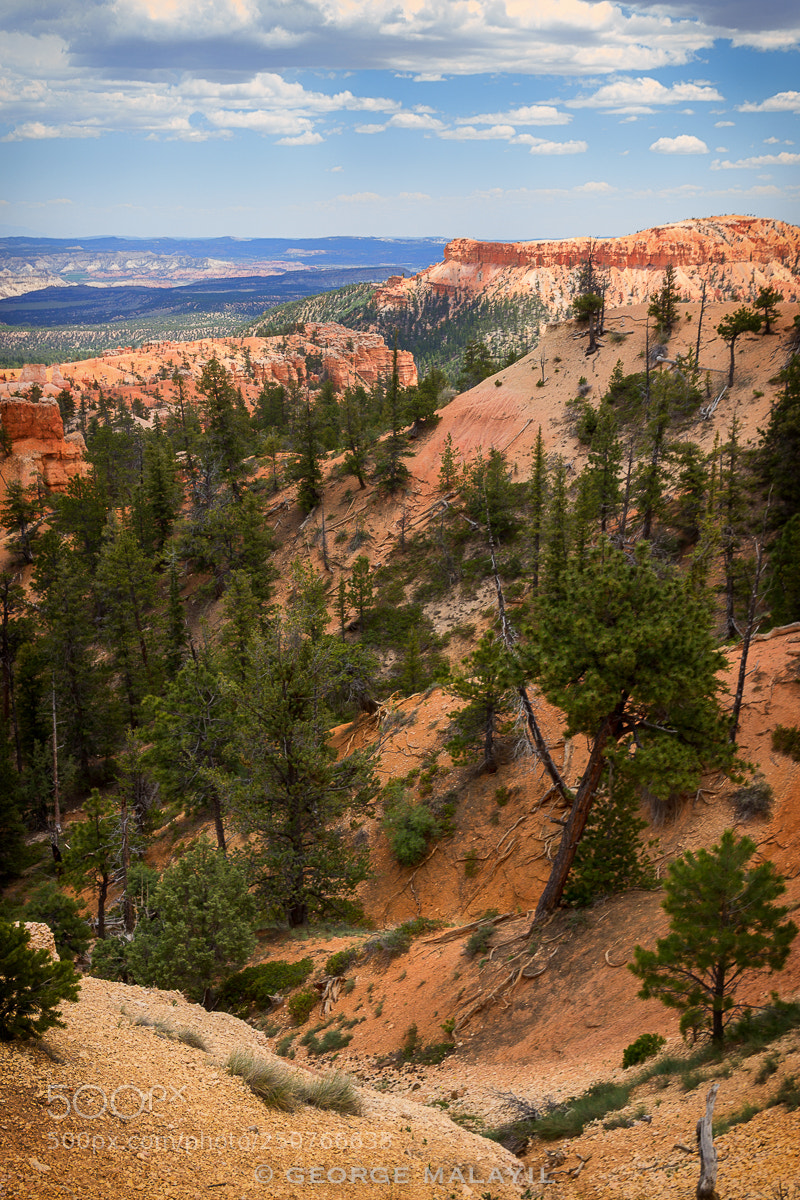 Canon EOS 600D (Rebel EOS T3i / EOS Kiss X5) sample photo. Bryce canyon photography