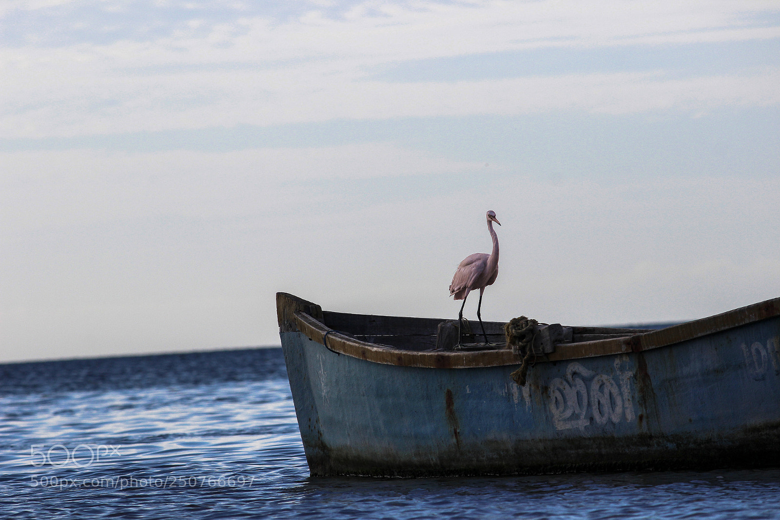 Canon EOS 600D (Rebel EOS T3i / EOS Kiss X5) sample photo. Img photography