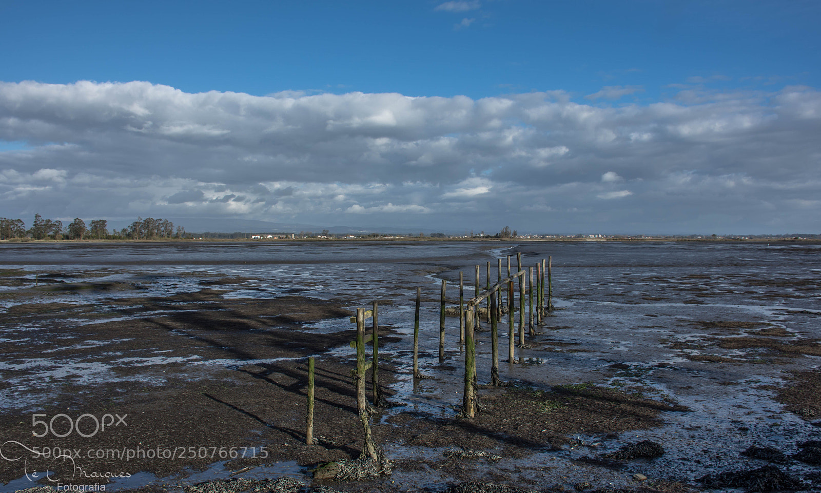 Nikon D7200 sample photo. Low tide photography