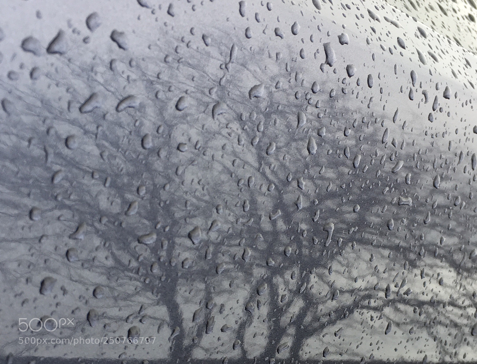 Apple iPhone 6s Plus sample photo. Untitled photography