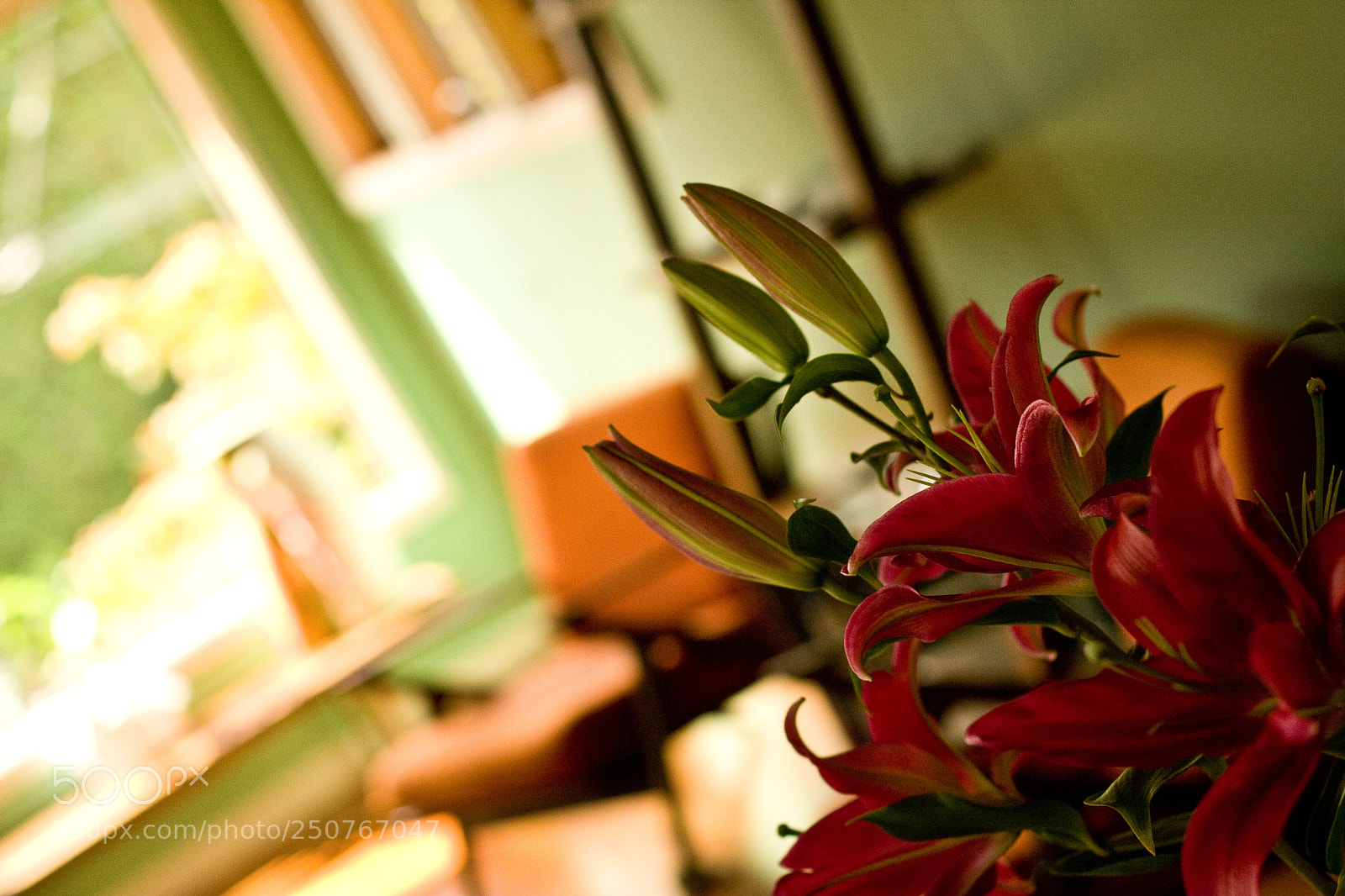 Canon EOS 40D sample photo. Living room photography