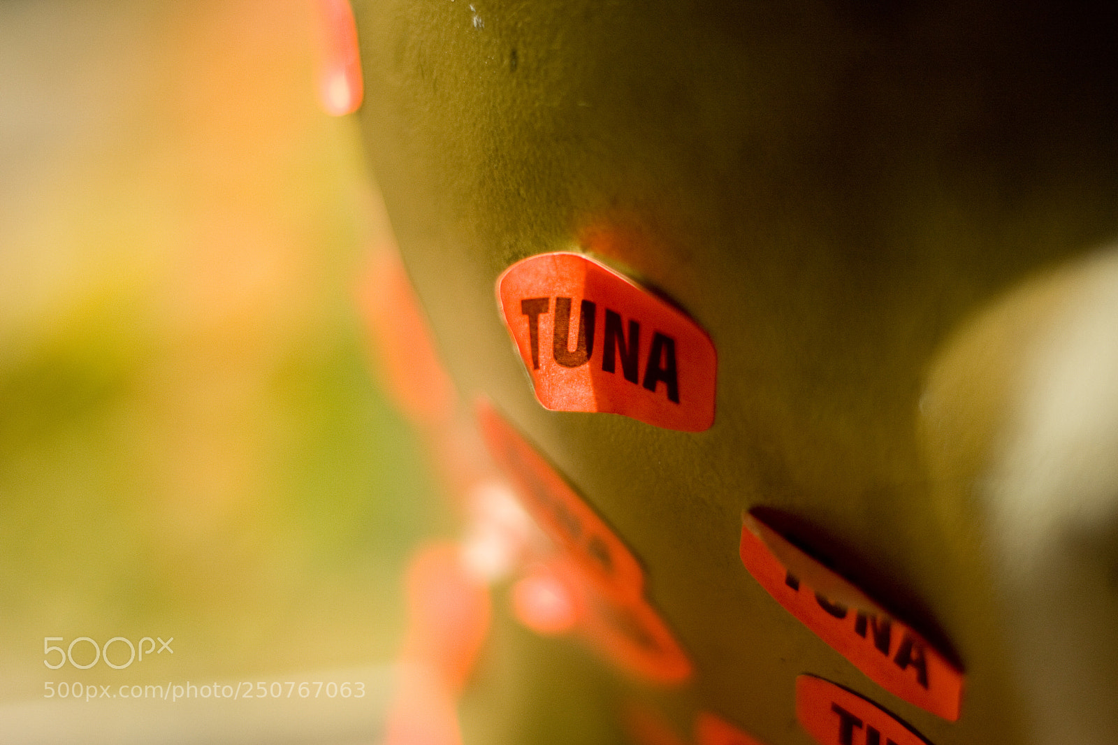 Canon EOS 40D sample photo. Tuna photography