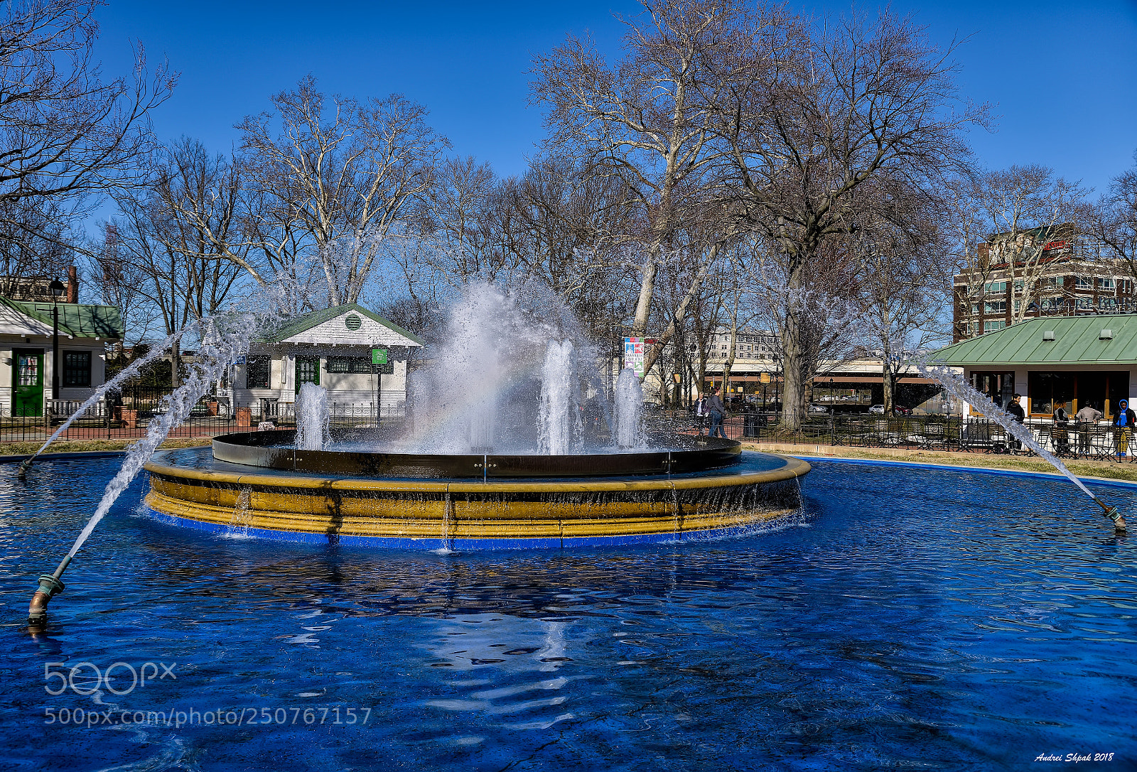 Nikon D800E sample photo. Philadelphia 2018. spring and photography