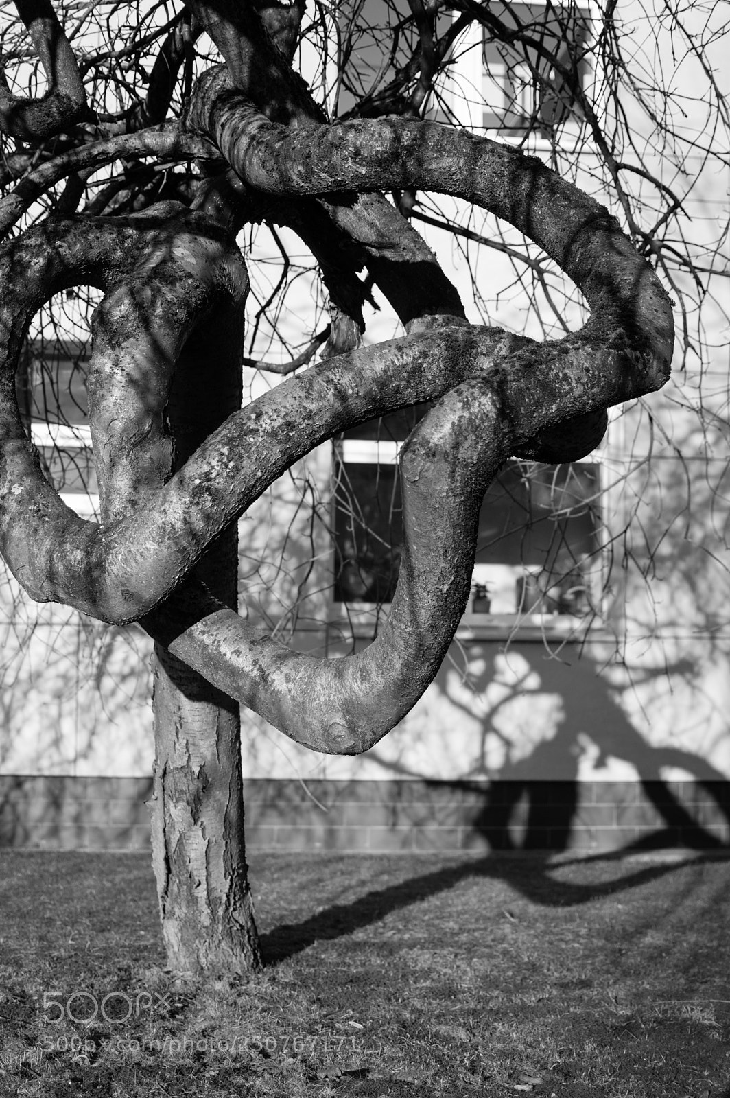 Nikon D3200 sample photo. Lost within itself photography