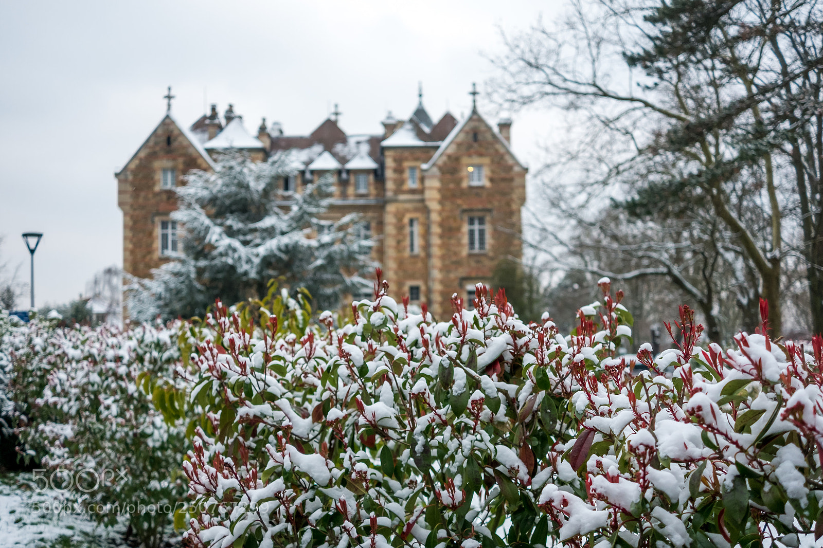 Fujifilm X-M1 sample photo. Spring snow photography