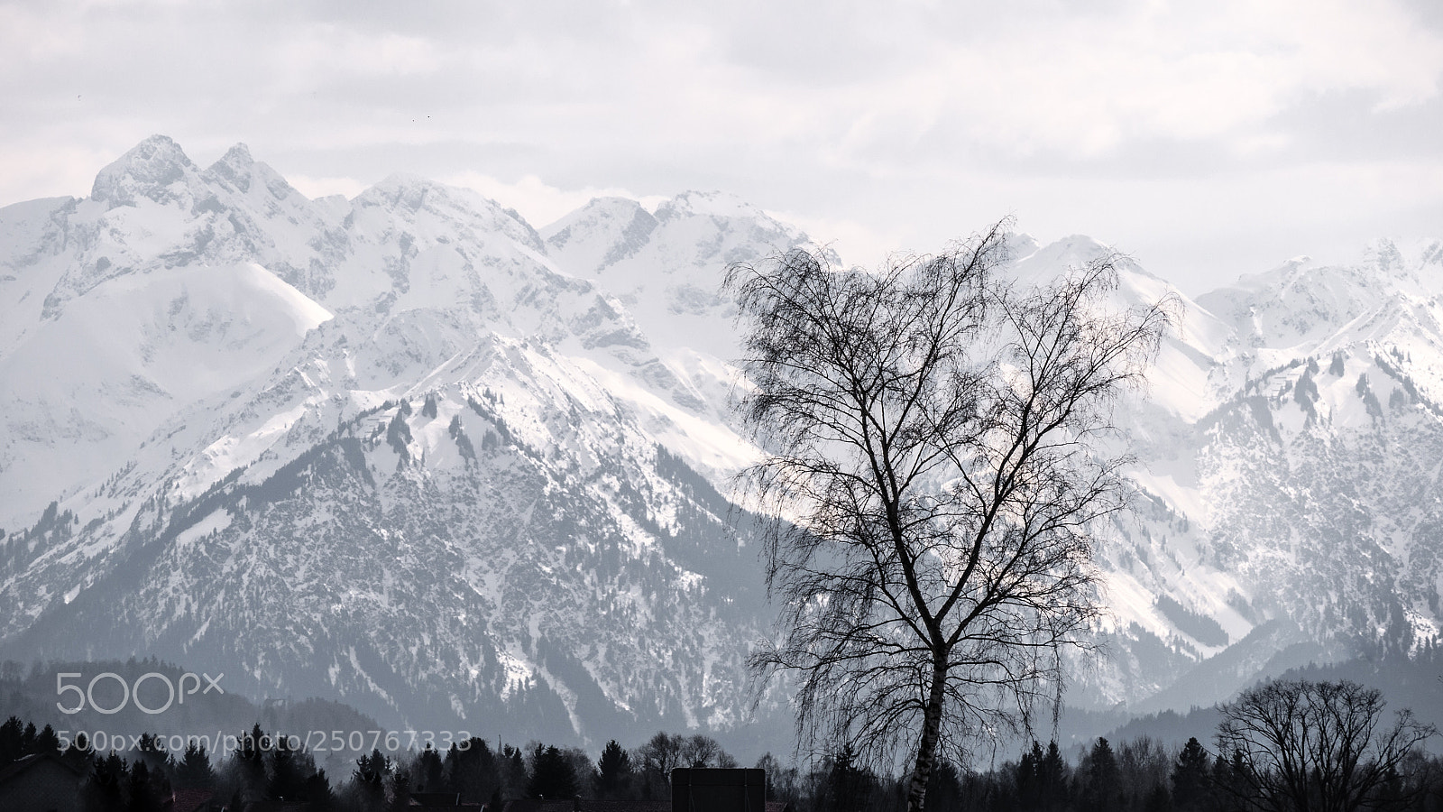 Panasonic DMC-G70 sample photo. The alps photography
