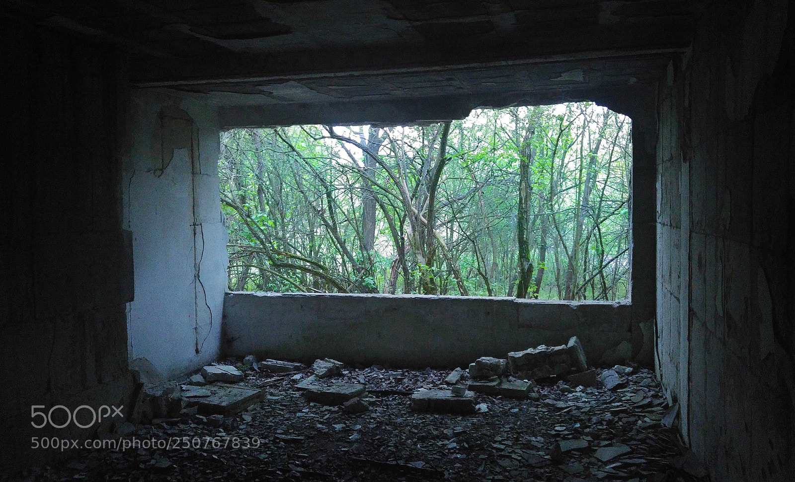LG G4 sample photo. Abandoned house in the photography