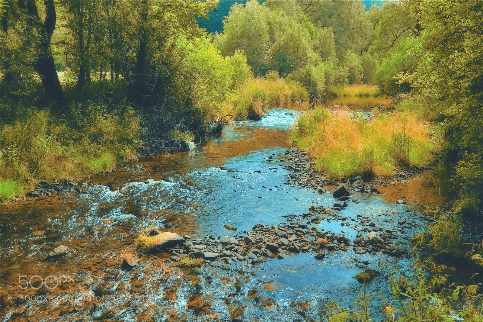 Fujifilm X-T2 sample photo. River blanice photography