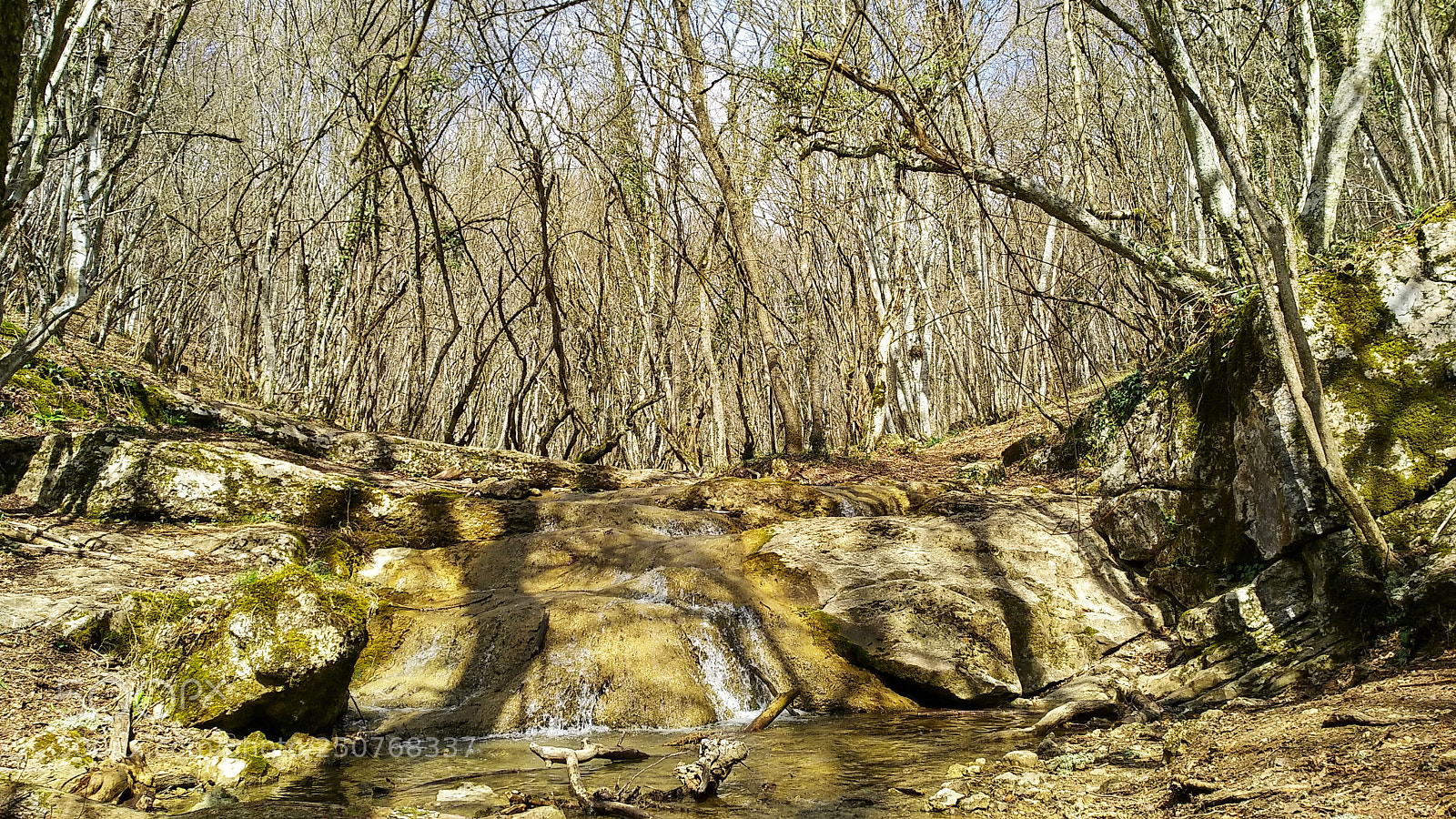 Xiaomi MI MAX 2 sample photo. Awakening of spring photography