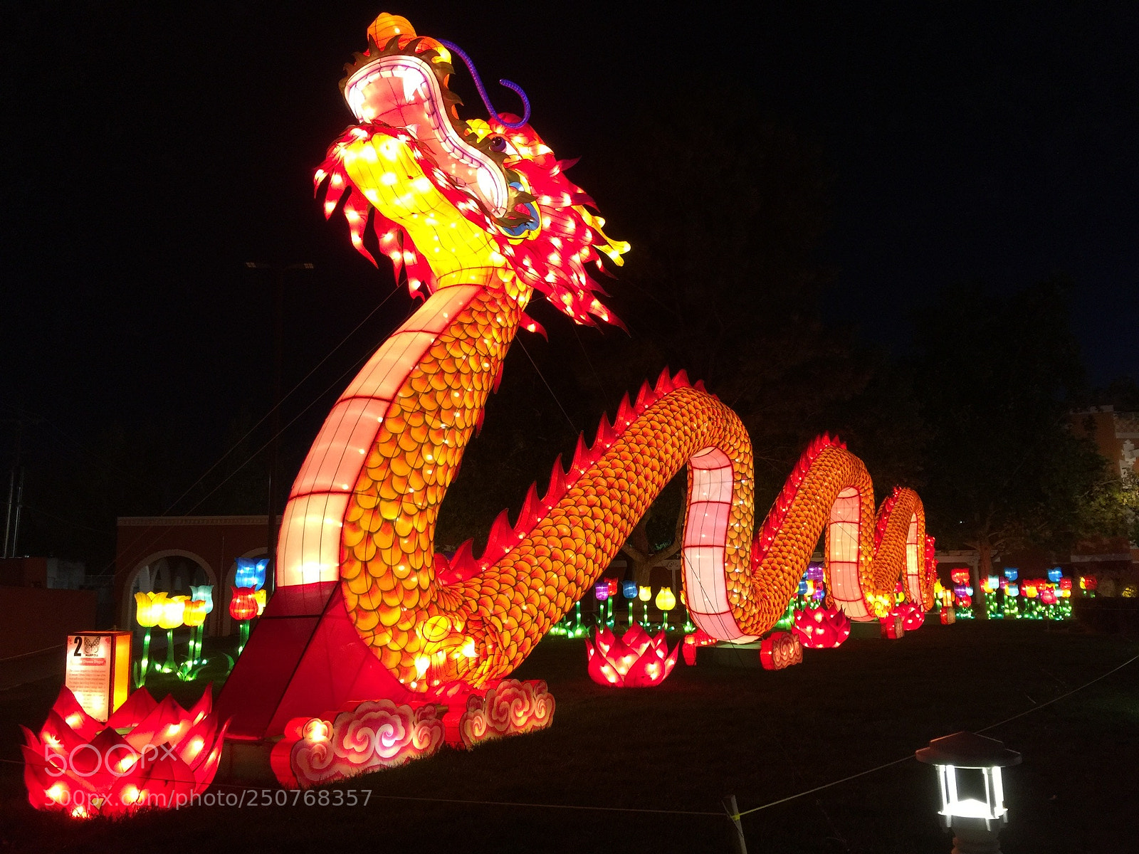 Apple iPhone 6 Plus sample photo. Dragon photography