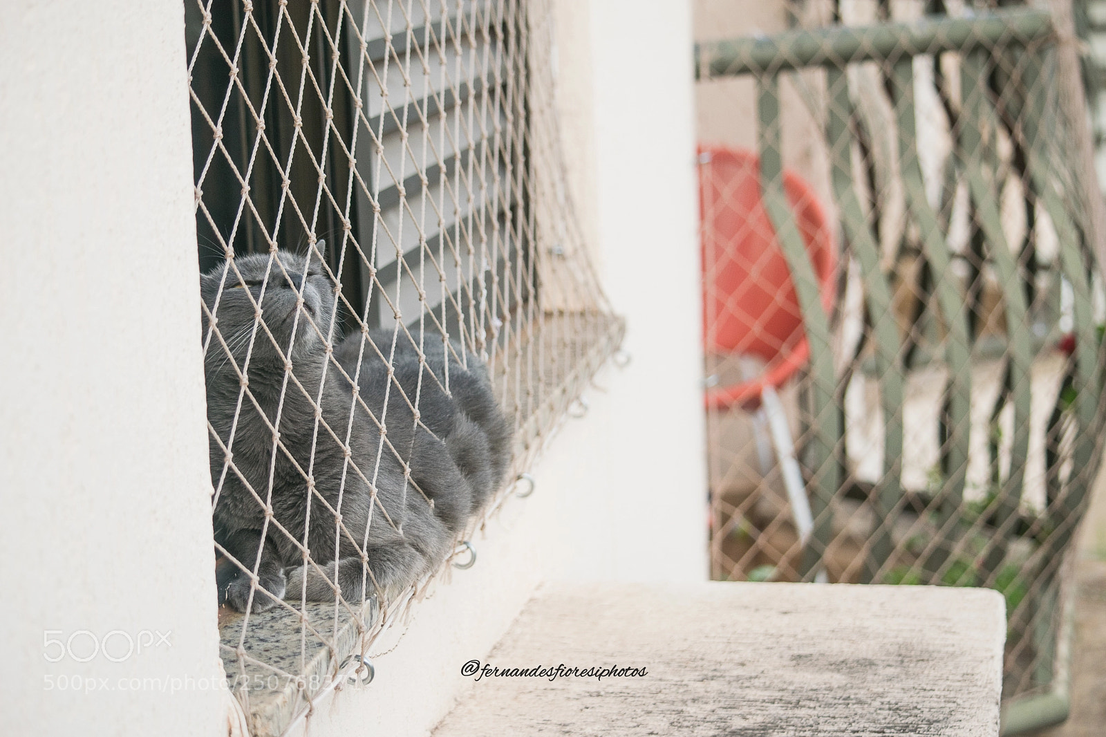 Nikon D5300 sample photo. Preguiça photography